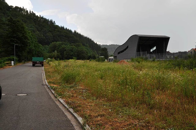 Zwischen Kraftwerk und dem Wiese-Fluss... Firma Brennet neue Mietshuser bauen.  | Foto: Nicolai Kapitz