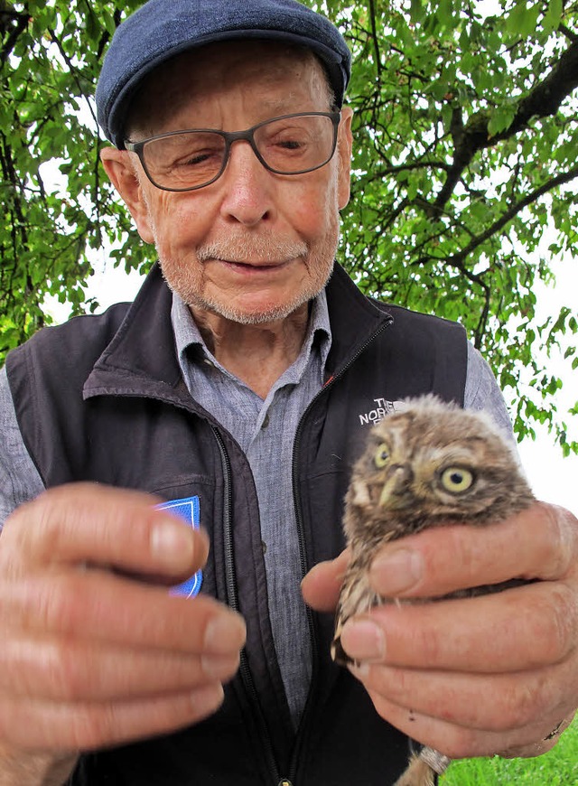 Eine neue Steinkauzbrut gibt es bei Ba...kontrollierte die Beringung der Vgel.  | Foto: Jutta Schtz