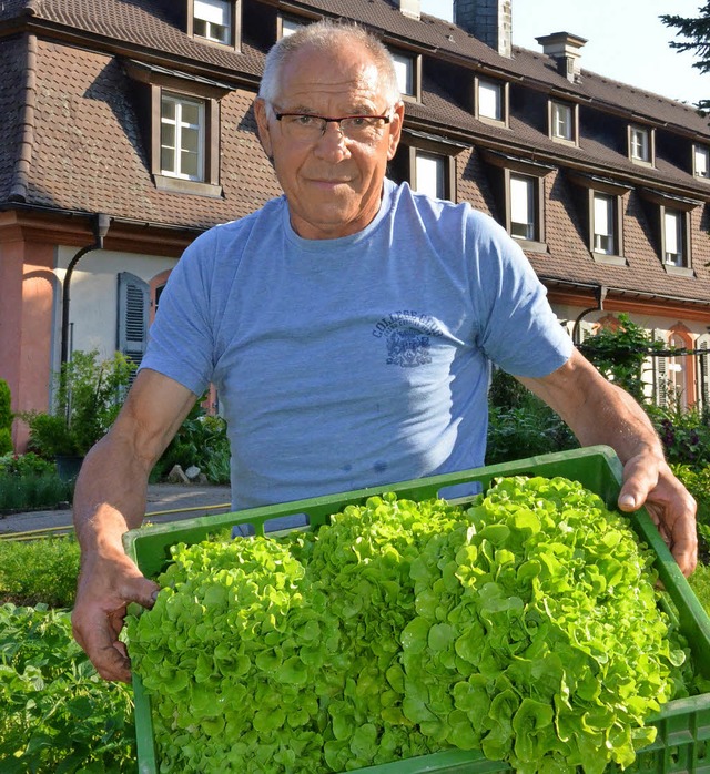 Klostergrtner Bernhard Schweizer ist ...ngen fr den Krutertag beschftigt.    | Foto: Gabriele Hennicke