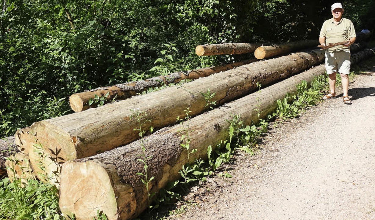 Käferholz lagerte über Monate in nächs...gewesen, heißt es dagegen beim Forst.   | Foto: Hans-Jürgen Hege