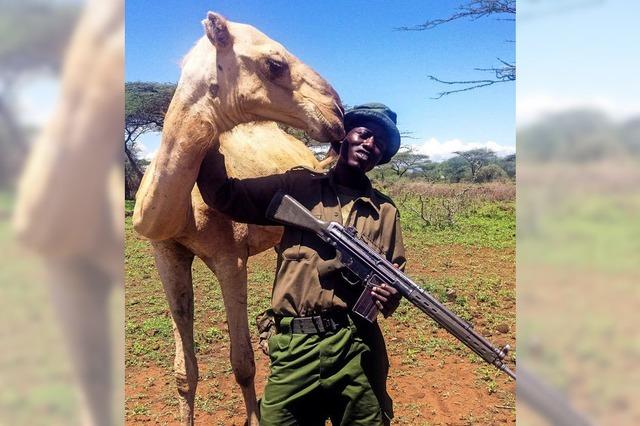 Kenias Rinderzüchter satteln auf Kamele um