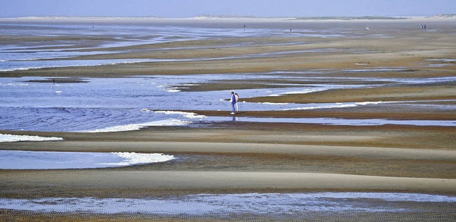 Strand (scheinbar) ohne Ende: die niederlndische Insel Terschelling   | Foto: dpa