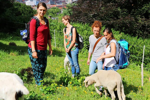 Studentinnen des Masterstudiengangs Um...von Schafen und Tieren verndert wird.  | Foto: Gina Kutkat