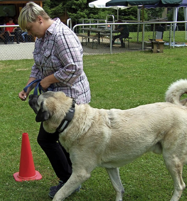 Sandra Kessler mit dem Kangal &#8222;Tyson&#8220;  | Foto: Petra Mann