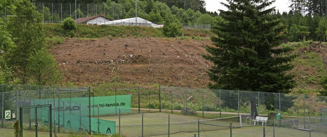Das 1,2 Hektar groe  Planungsgebiet d...nzenden Fuballplatz des Sportverein.   | Foto: Roswitha  Klaiber