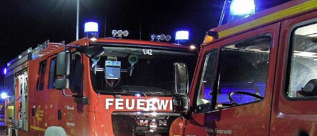 Die Wehren beider Laufenburg proben   gemeinsam.  | Foto: Feuerwehr