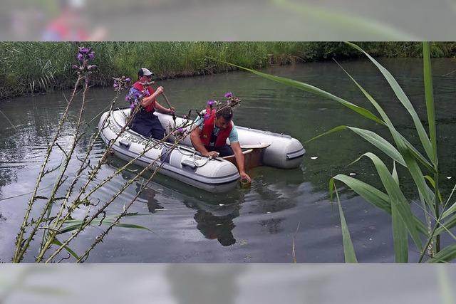 Kein l auf Fischweiher