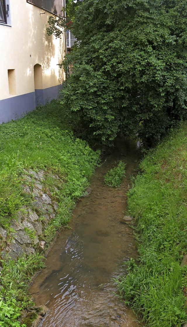 Beengte Verhltnisse am Weibach  | Foto: Georg Vo