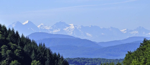 Berner Alpen aus dem Wiesental heraus  | Foto: Nicolai Kapitz