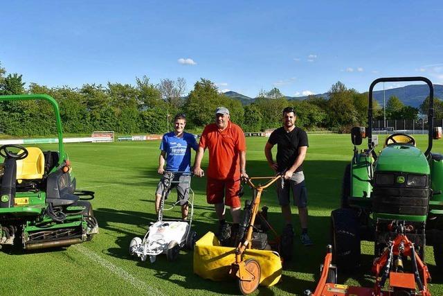 Wie in Wimbledon: Sattes Grn gibt es nicht zum Nulltarif