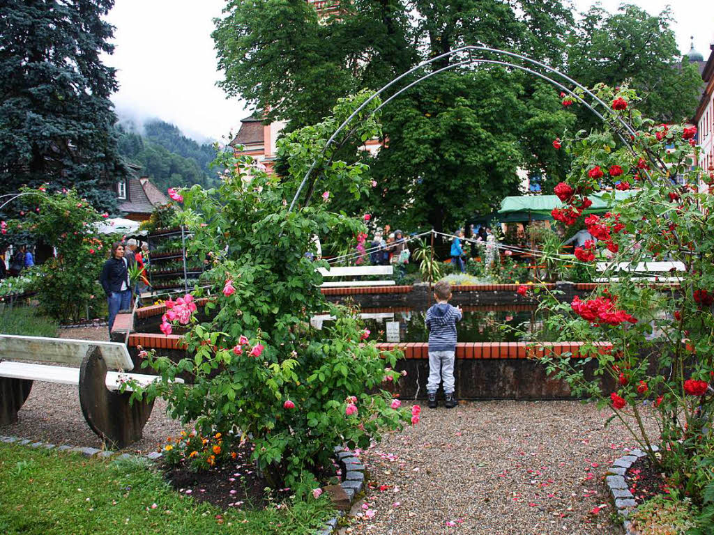 Alles rund ums Thema Kruter, Garten und Heilpflanzen wurde beim 4. Badischen Krutertag in groer Vielfalt angeboten.