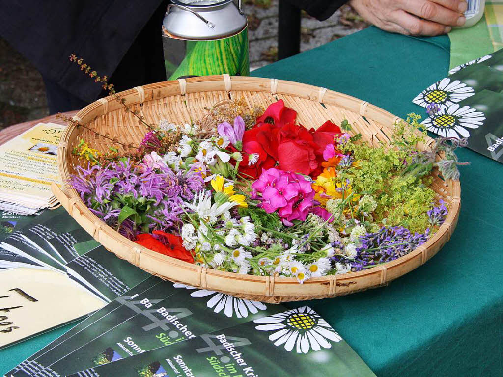 Alles rund ums Thema Kruter, Garten und Heilpflanzen wurde beim 4. Badischen Krutertag in groer Vielfalt angeboten.