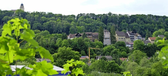 Das unterhalb des Hohenlupfen-Schlosse...stdtebaulich weiterentwickelt werden.  | Foto: Dietmar Noeske