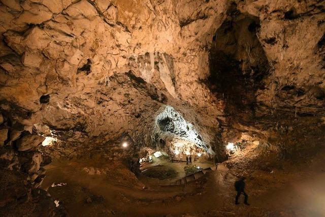 Unesco berät über Welterbe - Schaffen es Eiszeithöhlen im Südwesten?