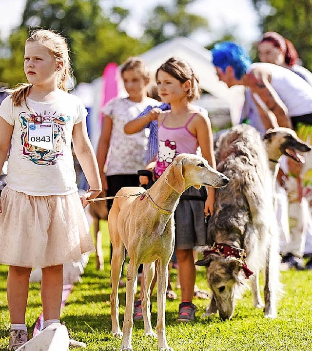 Das Donaueschinger Windhund-Festival g...en aber keinen Kinder-Bonus gewhren.   | Foto: Rolf Wetzel
