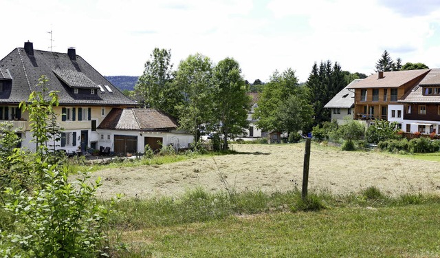 Auf dieser Wiese, die an der B500 gelegen ist, soll ein Drogeriemarkt entstehen.  | Foto: Sebastian Barthmes