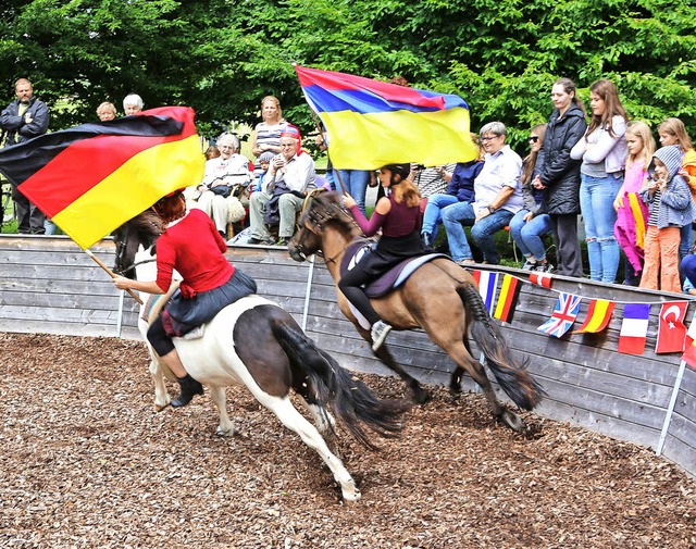 Beim Sommerfest erhielten die Besucher...zum Beispiel  die Arbeit mit Pferden.   | Foto: Katharina Bartsch