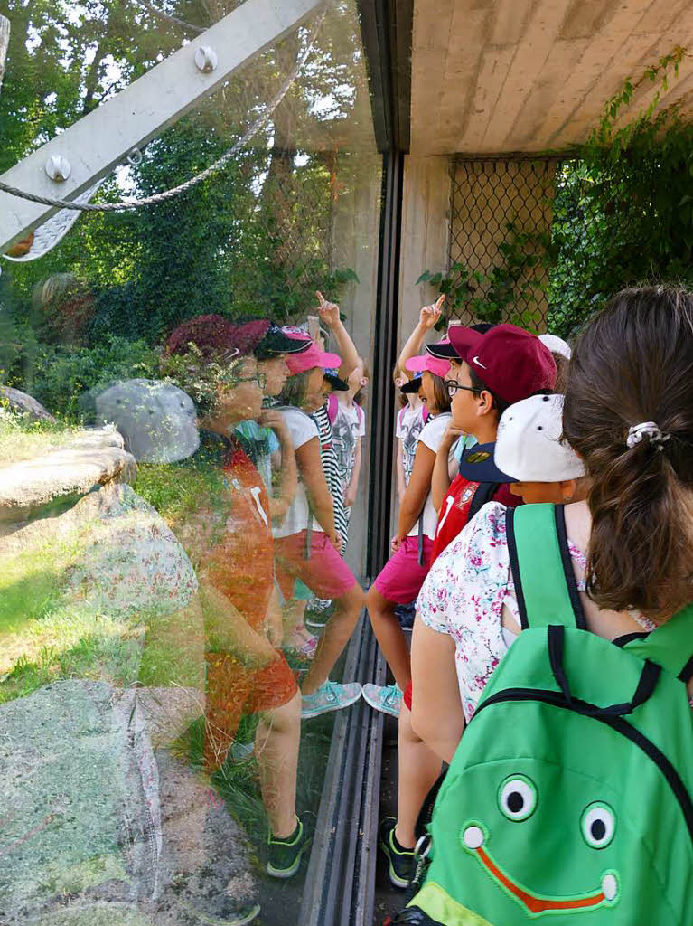 Zisch-Aktionstag im Basler Zoo