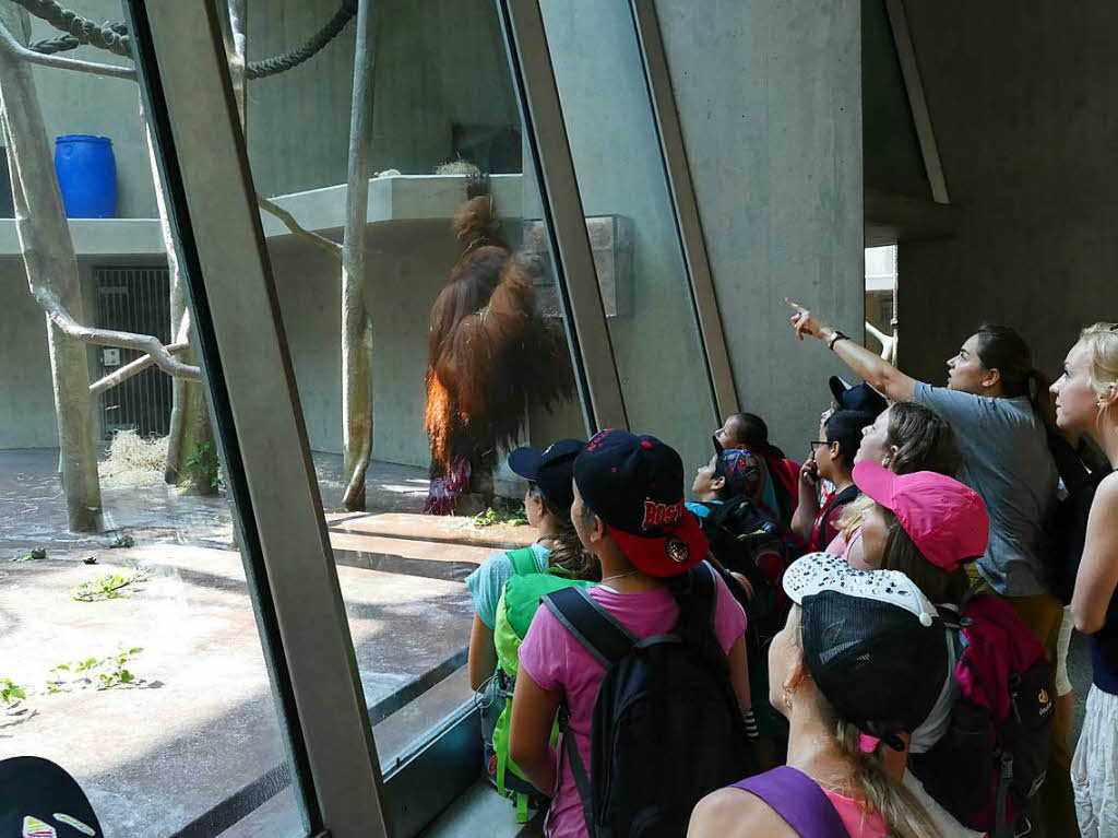 Zisch-Aktionstag im Basler Zoo