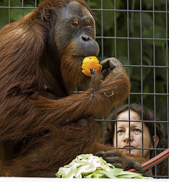 Gabriela Rindlisbacher und Orang-Utan Vendel   | Foto: Zoo Basel