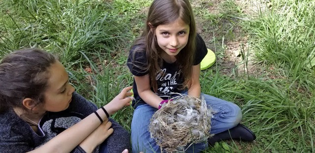 Von welchem Vogel stammt wohl dieses Nest?   | Foto: Inge Mhlemann