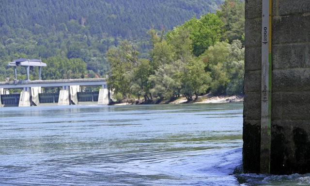 Der niedrige Rheinpegel macht Stein zu schaffen.   | Foto: Manuel Fritsch