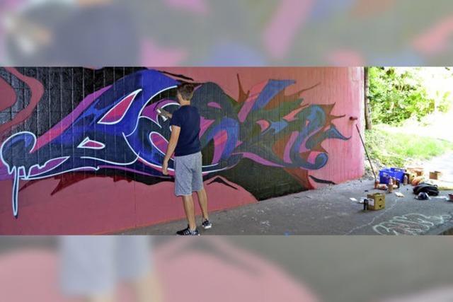 Aufs Abholzen folgen illegale Graffiti