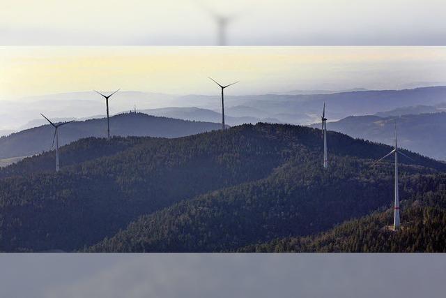 Windpark-Erffnung