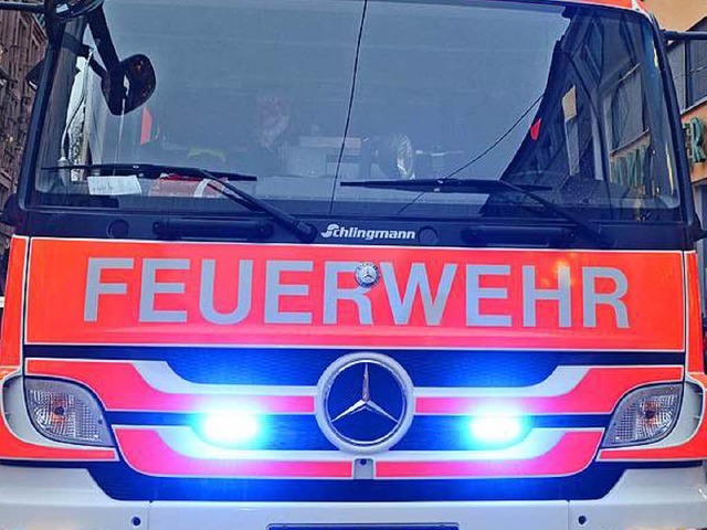 Die Freiburger Feuerwehr ist am Donner...euz und quer durch die Stadt gefahren.  | Foto: Rita Eggstein