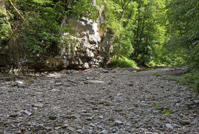 Wutachversickerung: Zwischen Amselfels...Bachheimer Stegs wieder ins Flussbett.  | Foto: Martin Schwenninger