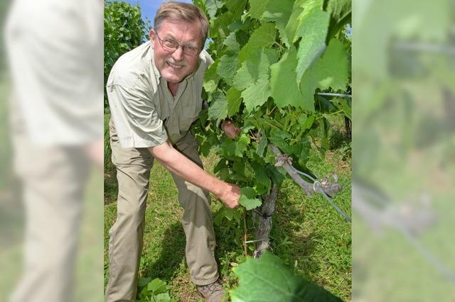 Vieles wchst, aber es bleiben Lcken