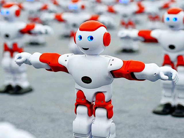 Roboter-Entwickler knnten Geld vom Land bekommen.   | Foto: dpa