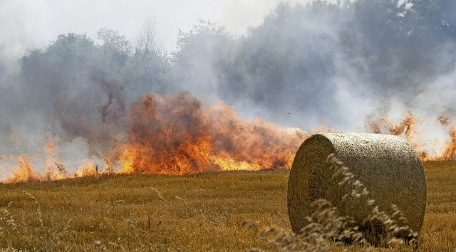 Eine groe Flche auf den Feldern zwis... Neuenburg wurde ein Raub der Flammen.  | Foto: Volker Mnch