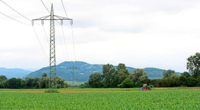 Bauern beklagen, dass in Freiburg die Preise fr Ackerland gestiegen sind.  | Foto: Ingo Schneider