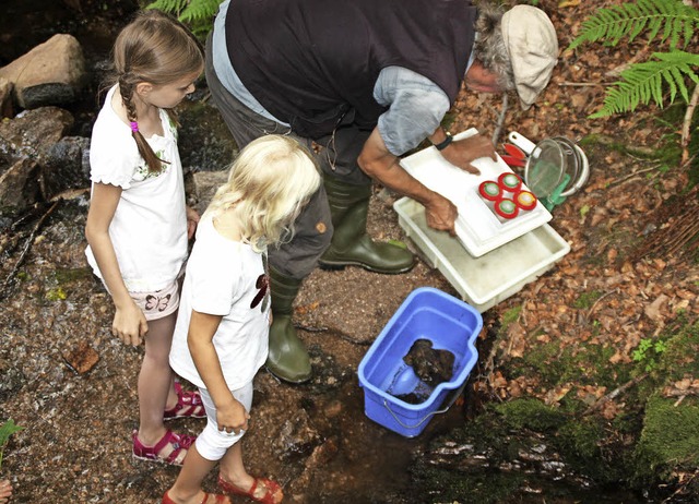 Mit Sieben und Lupen konnten die Kinder Wasserkleinstlebewesen beobachten.   | Foto: Gerd Leutenecker