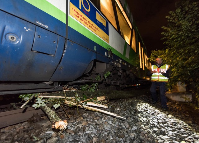 Bei Landwasser sprang ein Zug der Breisgau-S-Bahn aus dem Gleis.  | Foto: Patrick Seeger