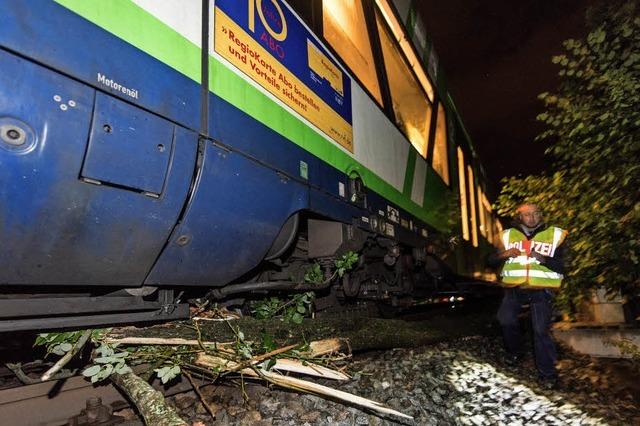 Unwetter stoppt die S-Bahn