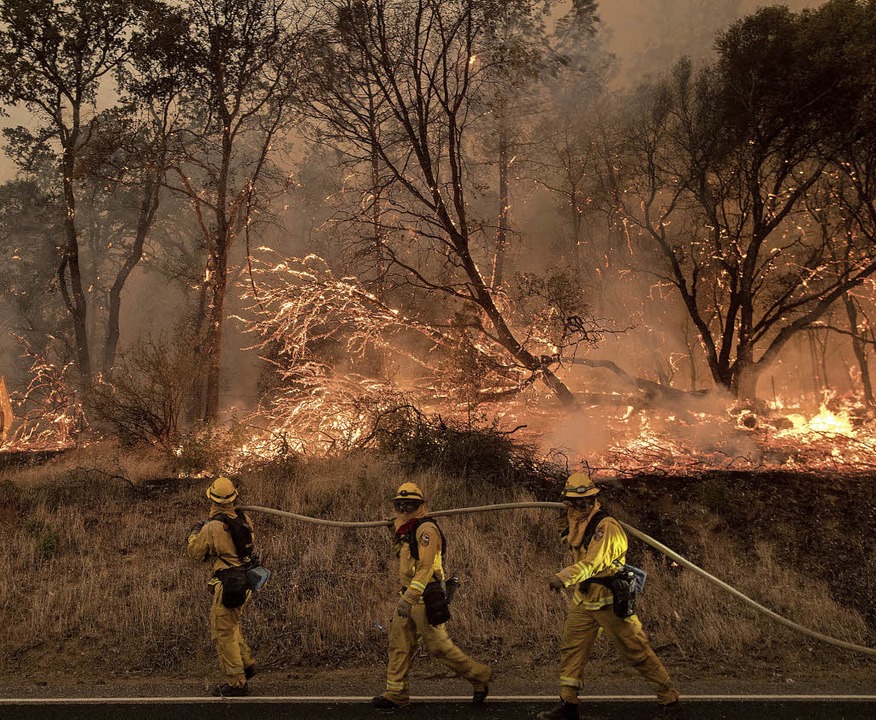 Feuer wüten entlang der Westküste Nordamerikas.   | Foto: dpa
