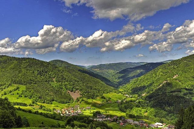 Veranstaltungsreihe im Biosphrengebiet Sdschwarzwald