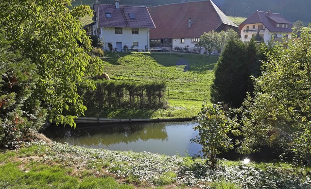 Ein Idyll, aber vielmehr von groer Wi...schweiher, wie der auf dem Geisberg.   | Foto: Feuerwehr