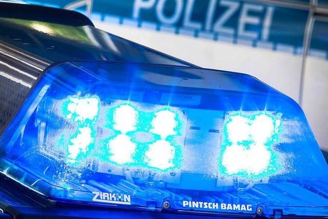 Mlleimer in Bad Sckingen angezndet und in den Rhein geworfen