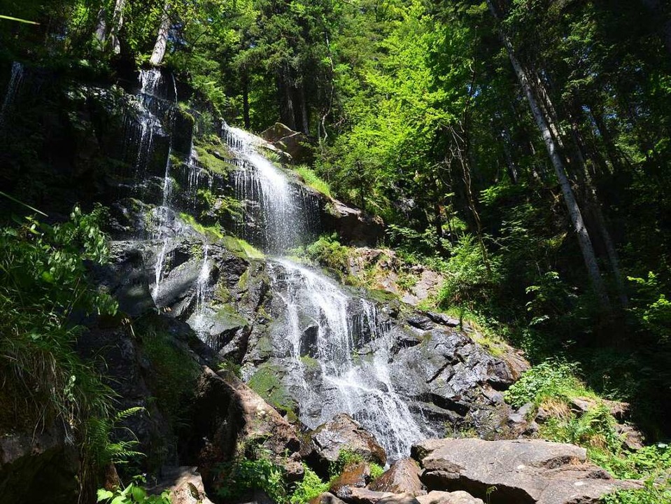 Alles fließt, und auch ein Bannwald bl...ie er ist: die Zweribach-Wasserfälle    | Foto: Stefan Hupka