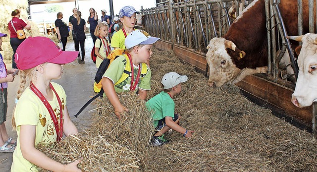 Ein Besuch auf dem Bio-Bauernhof ist beim Kinderferienprogramm ebenfalls dabei.   | Foto: Tourist Information