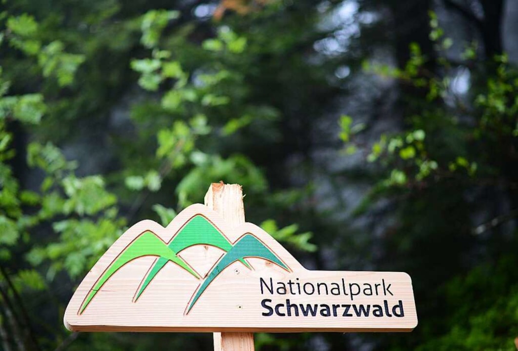 Nationalpark Schwarzwald  | Foto: dpa