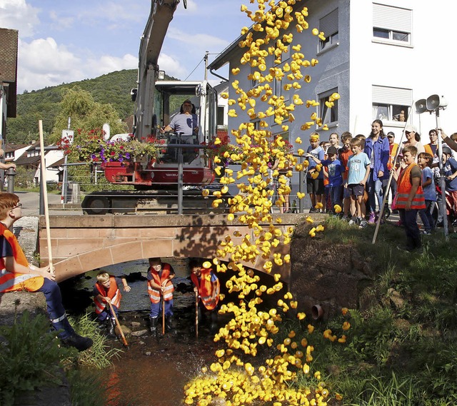 Und ab geht die Post im Reichenbacher Dorfbach.  | Foto: heidi fssel