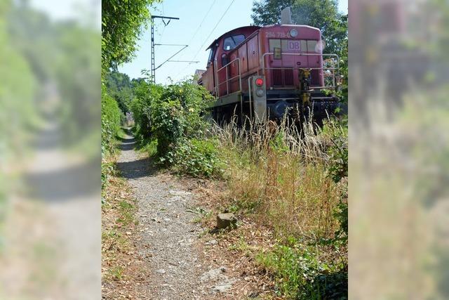 Weg an der Bahnlinie gibt Anlass zur Beschwerde