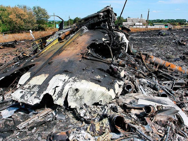Trmmer  der MH17  | Foto: dpa