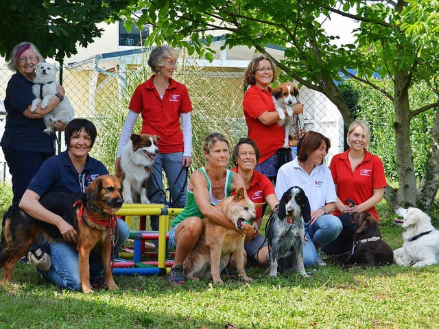 Die Besuchhunde und ihre Frauchen  | Foto: Danielle Hirschberger