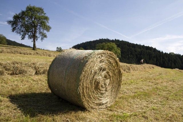 Heuballen berrollt Landwirt (Symbolbild)  | Foto: Daniel Fleig