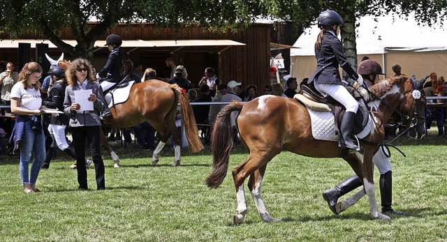 Im Jubilumsjahr des Bahlinger Reit- u...klasse &#8222;Little Champions&#8220;.  | Foto: Christiane franz